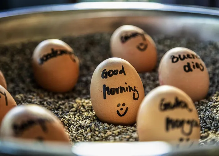 Ibis Styles Hotel 3*